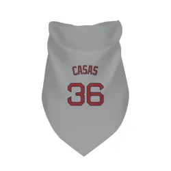 Boston Red Sox Triston Casas Gray Pet Bandana for Dog & Cat