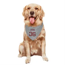 Boston Red Sox Triston Casas Gray Pet Bandana for Dog & Cat