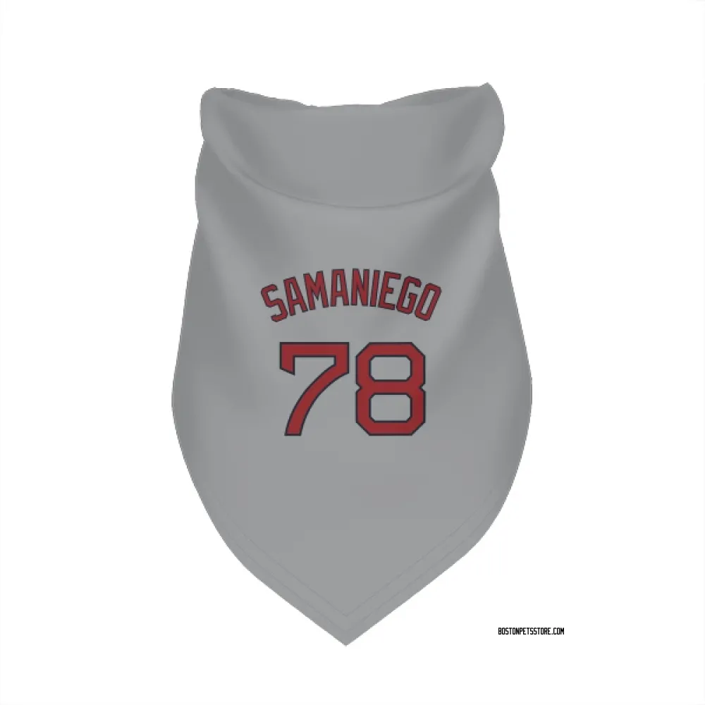 Boston Red Sox Tyler Samaniego Gray Pet Bandana for Dog & Cat