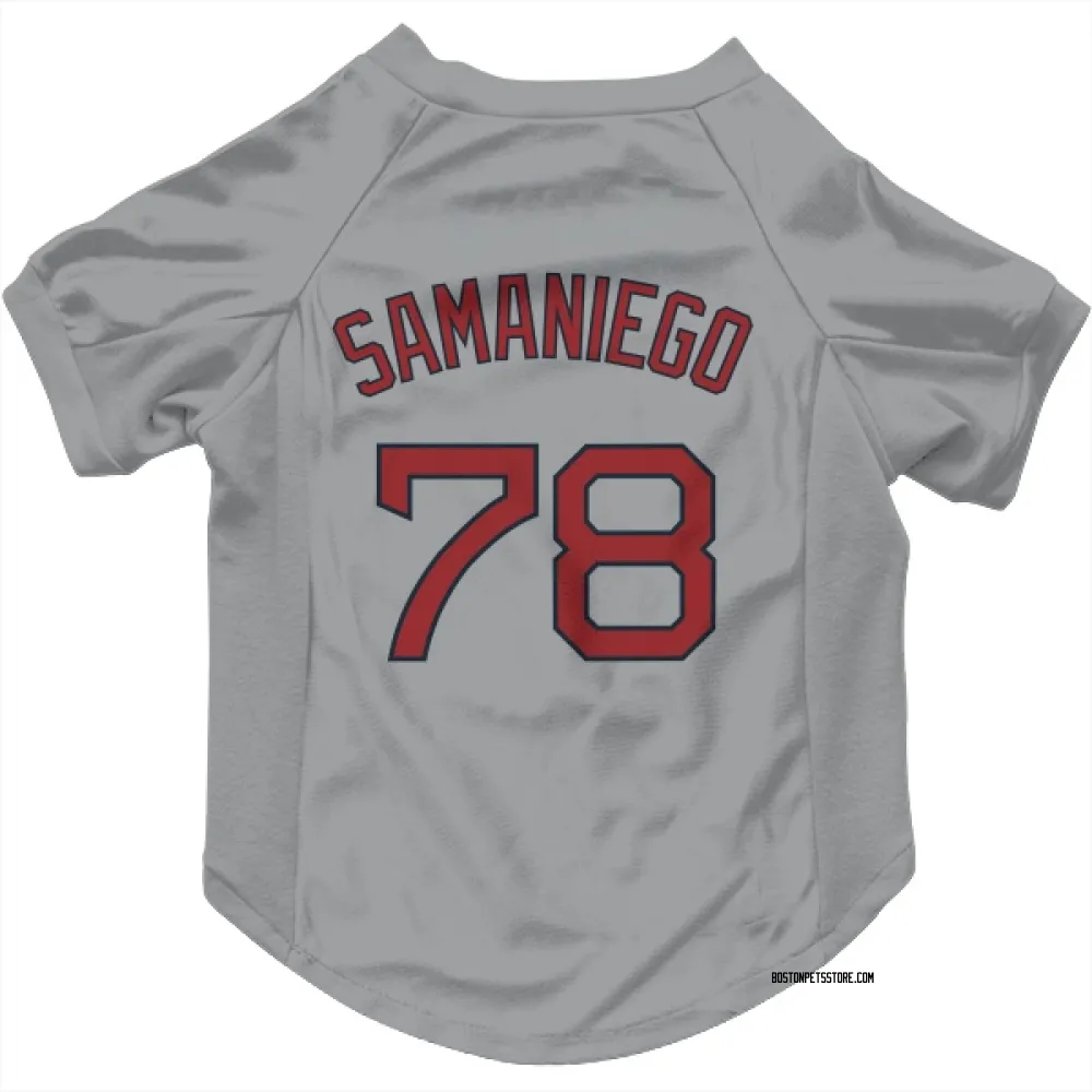Boston Red Sox Tyler Samaniego Gray Pet Jersey for Dog & Cat