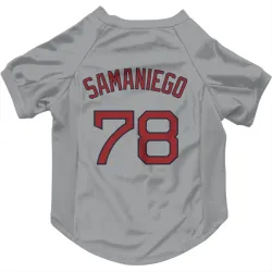 Boston Red Sox Tyler Samaniego Gray Pet Jersey for Dog & Cat