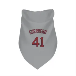Boston Red Sox Tyron Guerrero Gray Pet Bandana for Dog & Cat