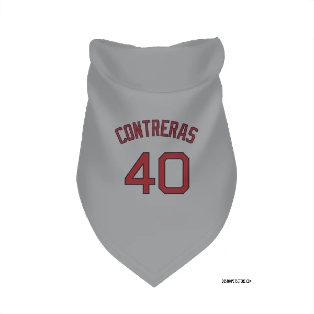 Boston Red Sox Willson Contreras Gray Pet Bandana for Dog & Cat