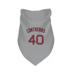 Boston Red Sox Willson Contreras Gray Pet Bandana for Dog & Cat