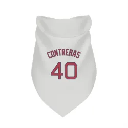 Boston Red Sox Willson Contreras White Pet Bandana for Dog & Cat