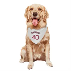Boston Red Sox Willson Contreras White Pet Bandana for Dog & Cat