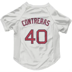 Boston Red Sox Willson Contreras White Pet Jersey for Dog & Cat