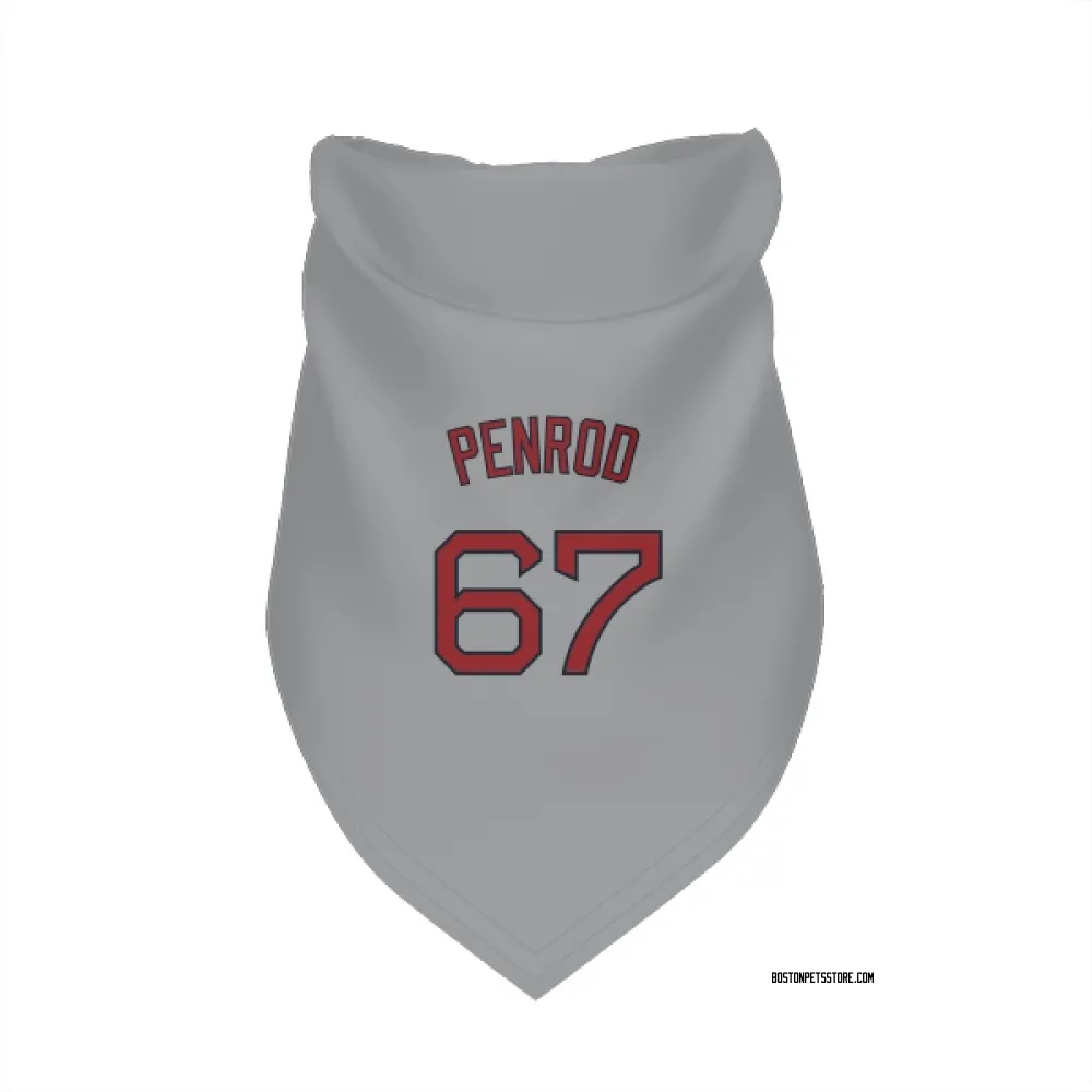 Boston Red Sox Zach Penrod Gray Pet Bandana for Dog & Cat