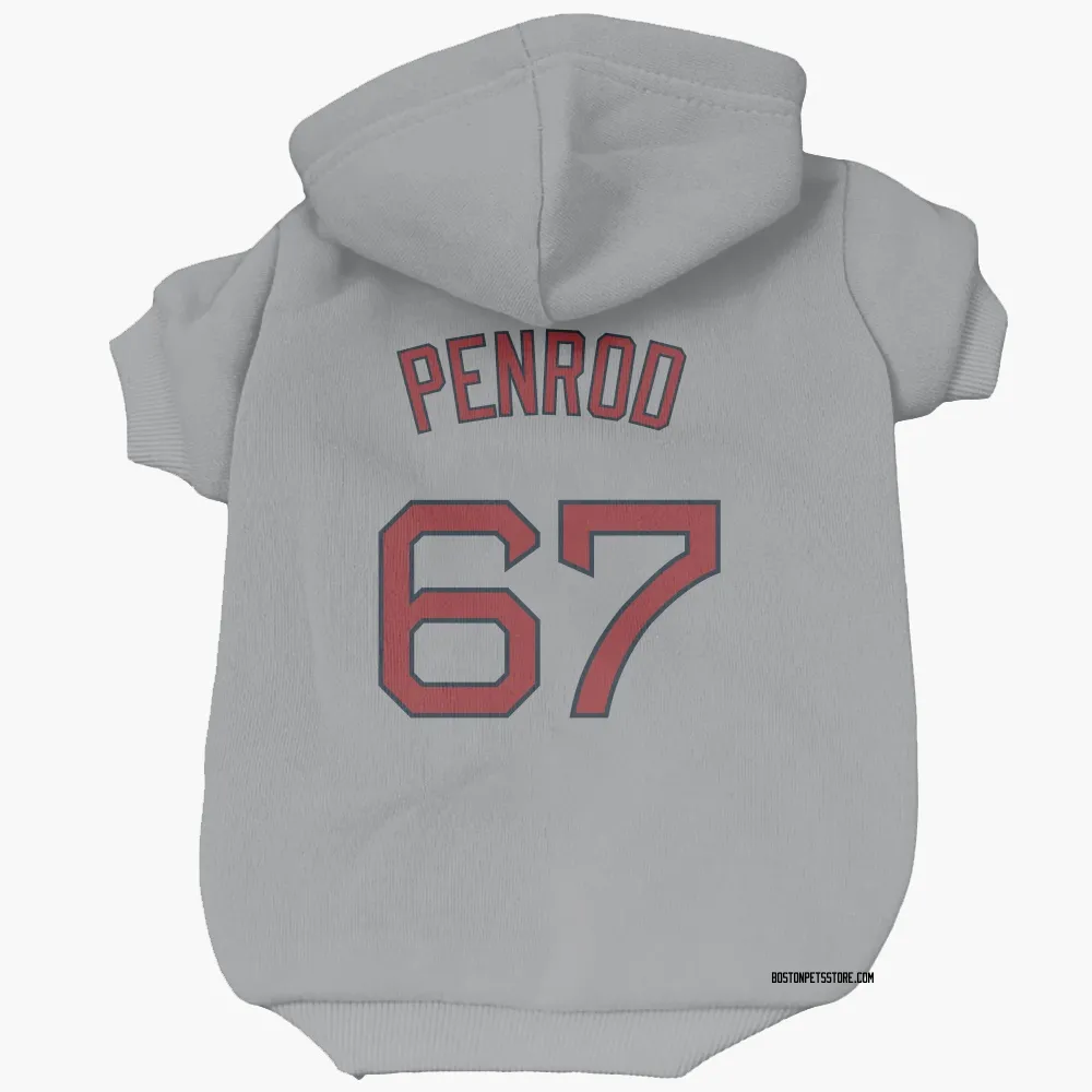 Boston Red Sox Zach Penrod Gray Pet Hoodie for Dog & Cat