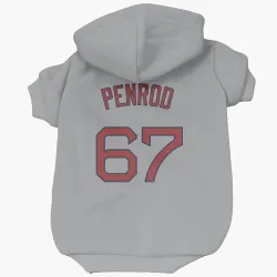Boston Red Sox Zach Penrod Gray Pet Hoodie for Dog & Cat