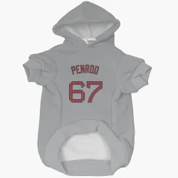 Boston Red Sox Zach Penrod Gray Pet Hoodie for Dog & Cat