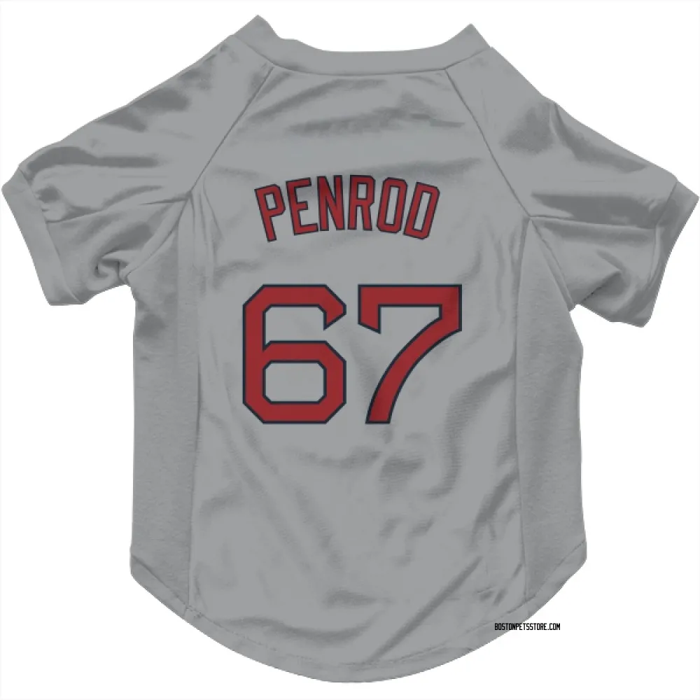 Boston Red Sox Zach Penrod Gray Pet Jersey for Dog & Cat
