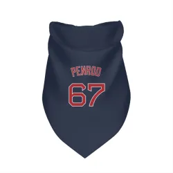 Boston Red Sox Zach Penrod Navy Pet Bandana for Dog & Cat