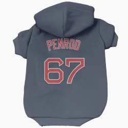 Boston Red Sox Zach Penrod Navy Pet Hoodie for Dog & Cat