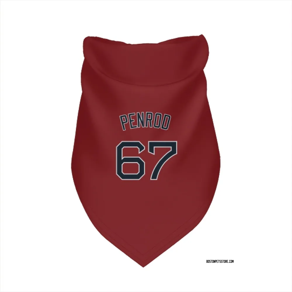 Boston Red Sox Zach Penrod Red Pet Bandana for Dog & Cat