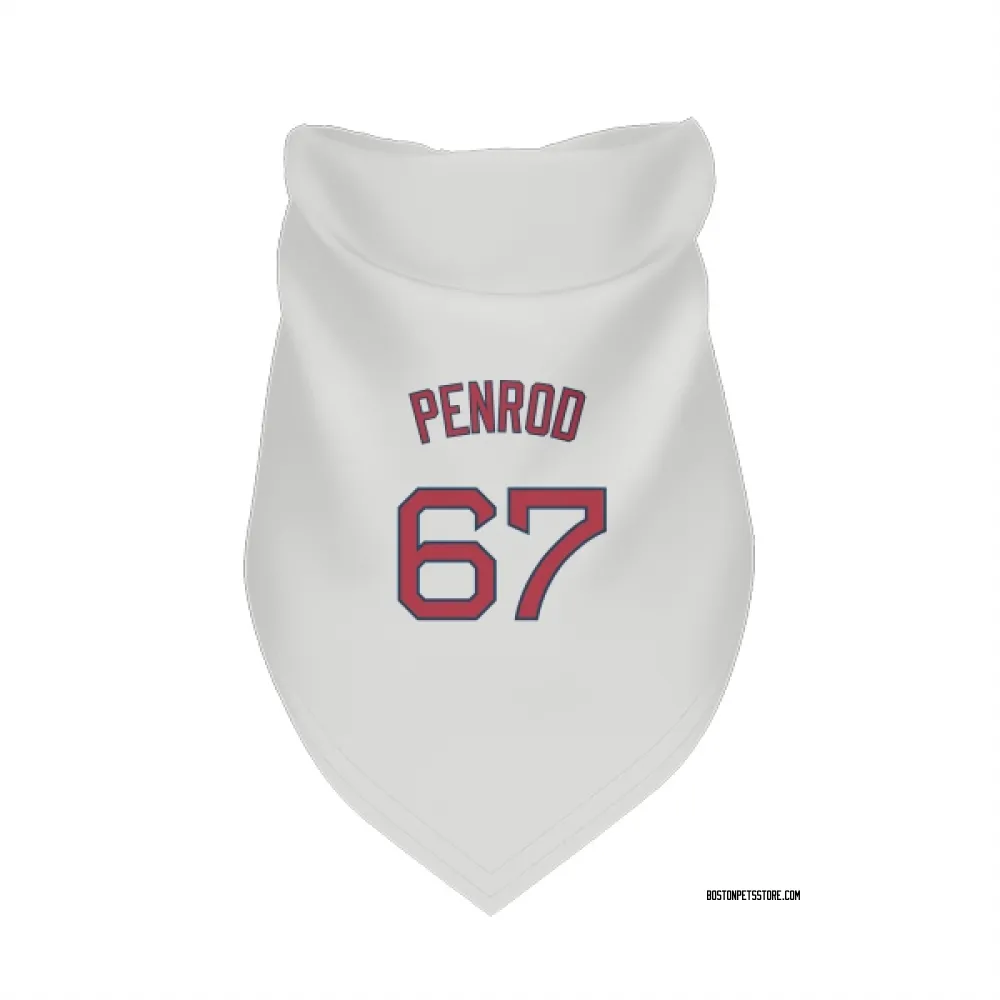 Boston Red Sox Zach Penrod White Pet Bandana for Dog & Cat