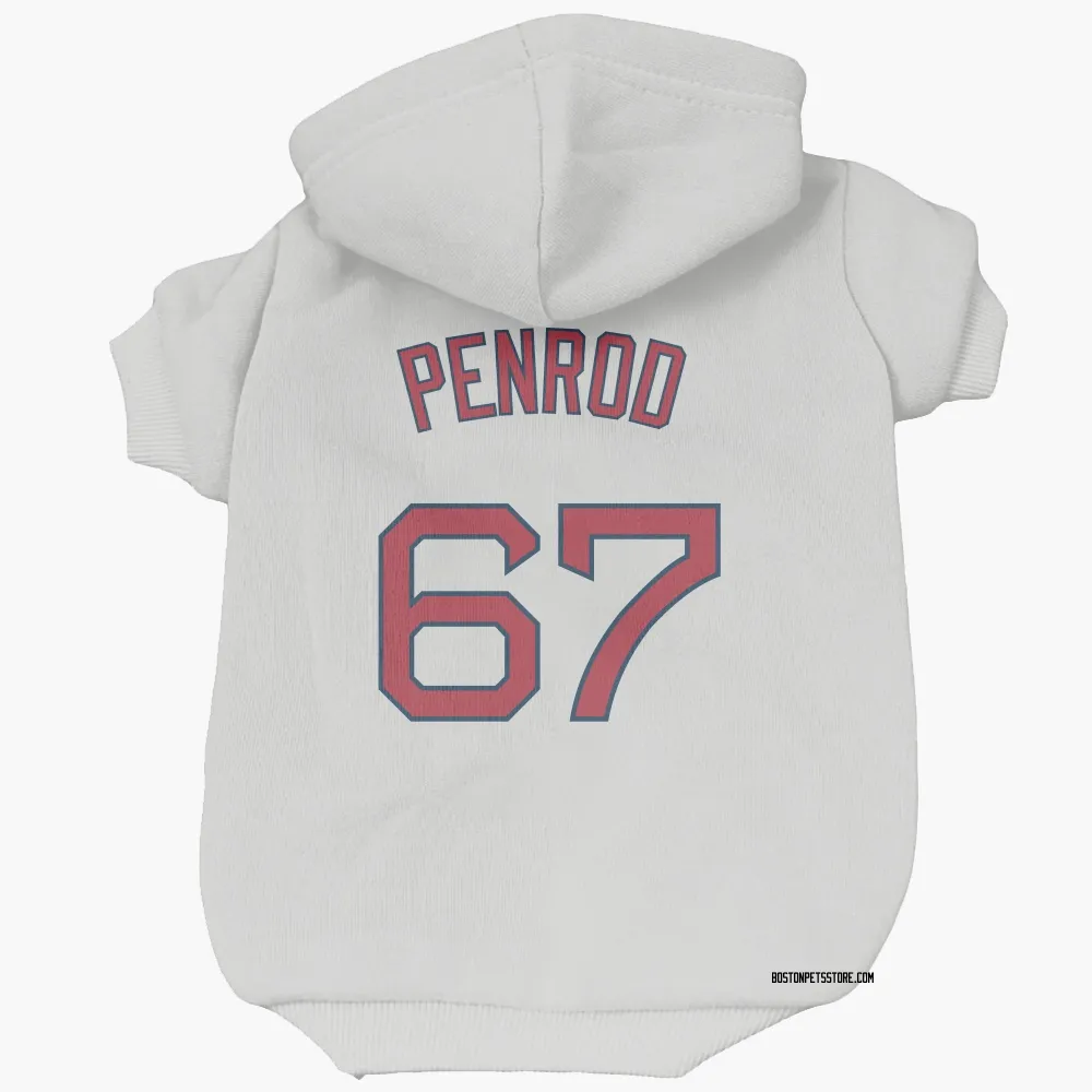 Boston Red Sox Zach Penrod White Pet Hoodie for Dog & Cat