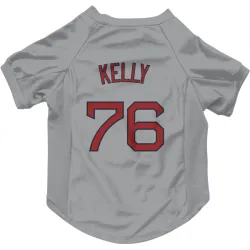 Boston Red Sox Zack Kelly Gray Pet Jersey for Dog & Cat